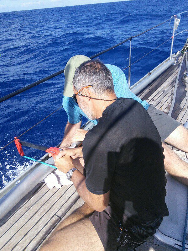 3117b995-1182-423e-90c0-99250f3ef4a7749220465