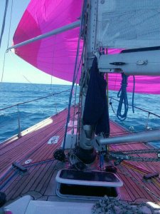 7658628e-1659-4c20-bcba-dd55db4fd8c6-1834024989