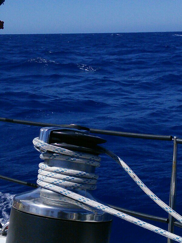 fbb68b4b-4bff-4746-899e-2e6a88cb14291967227043