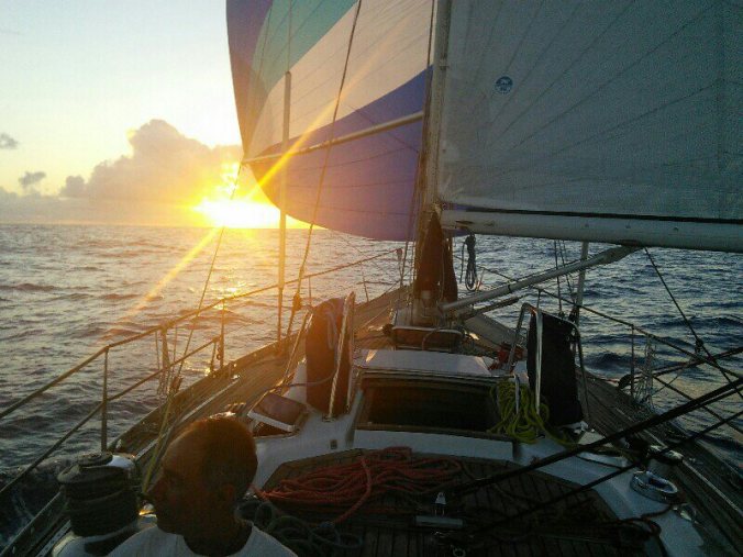 7ea17345-e1a7-4947-89d0-8ff7b435732d443382257