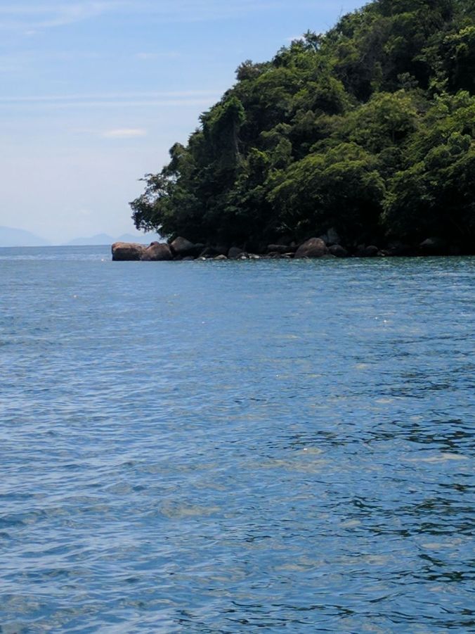 whatsapp-image-2017-01-24-at-15-28-17